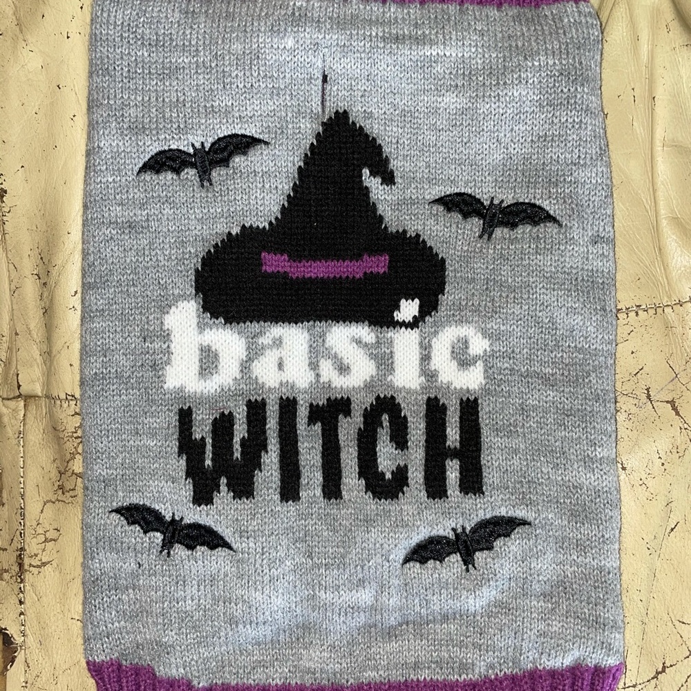Medium dog dress up Halloween sweater! Witch!